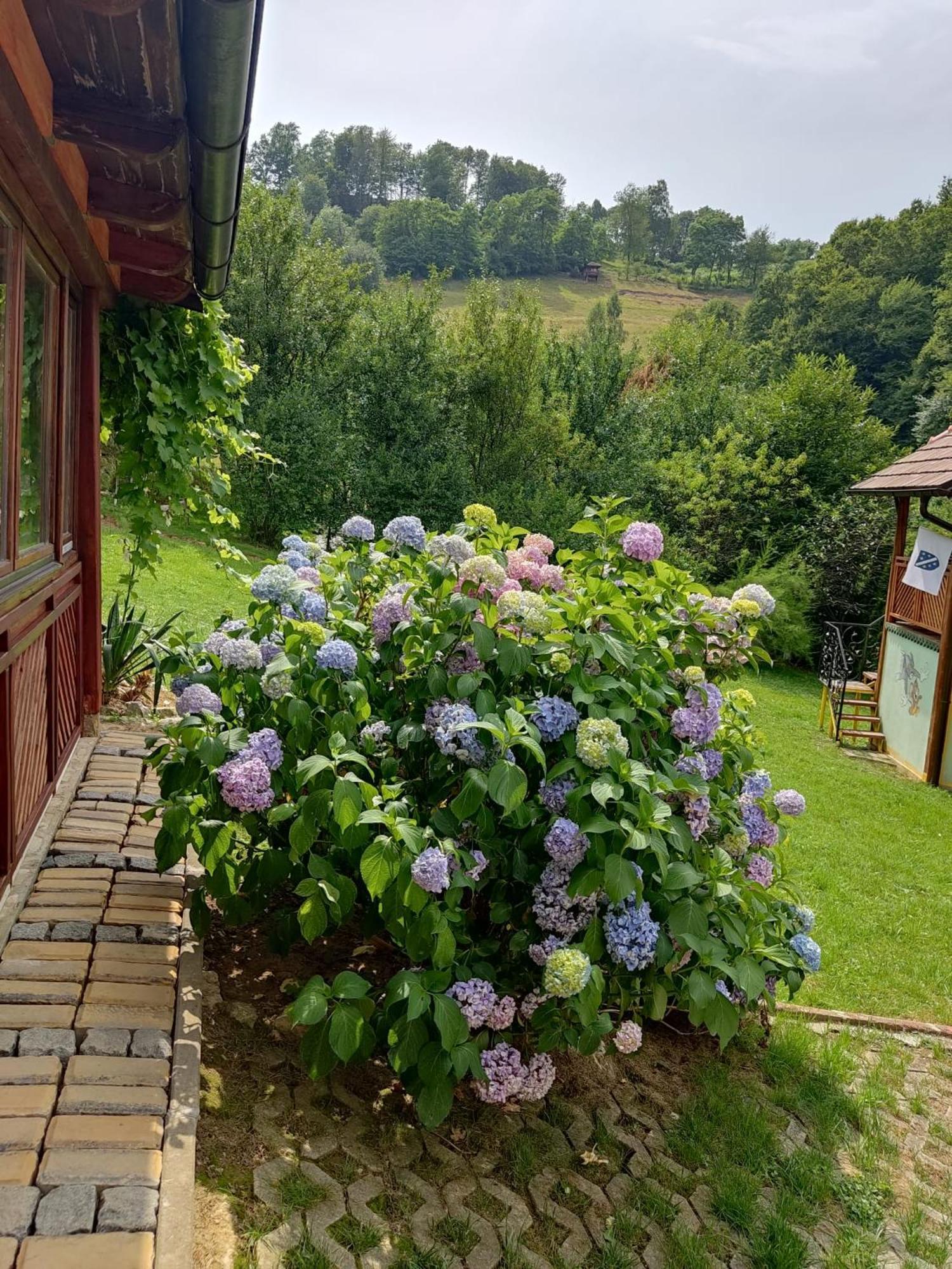 Holiday Home Pharaoh Visoko Eksteriør bilde